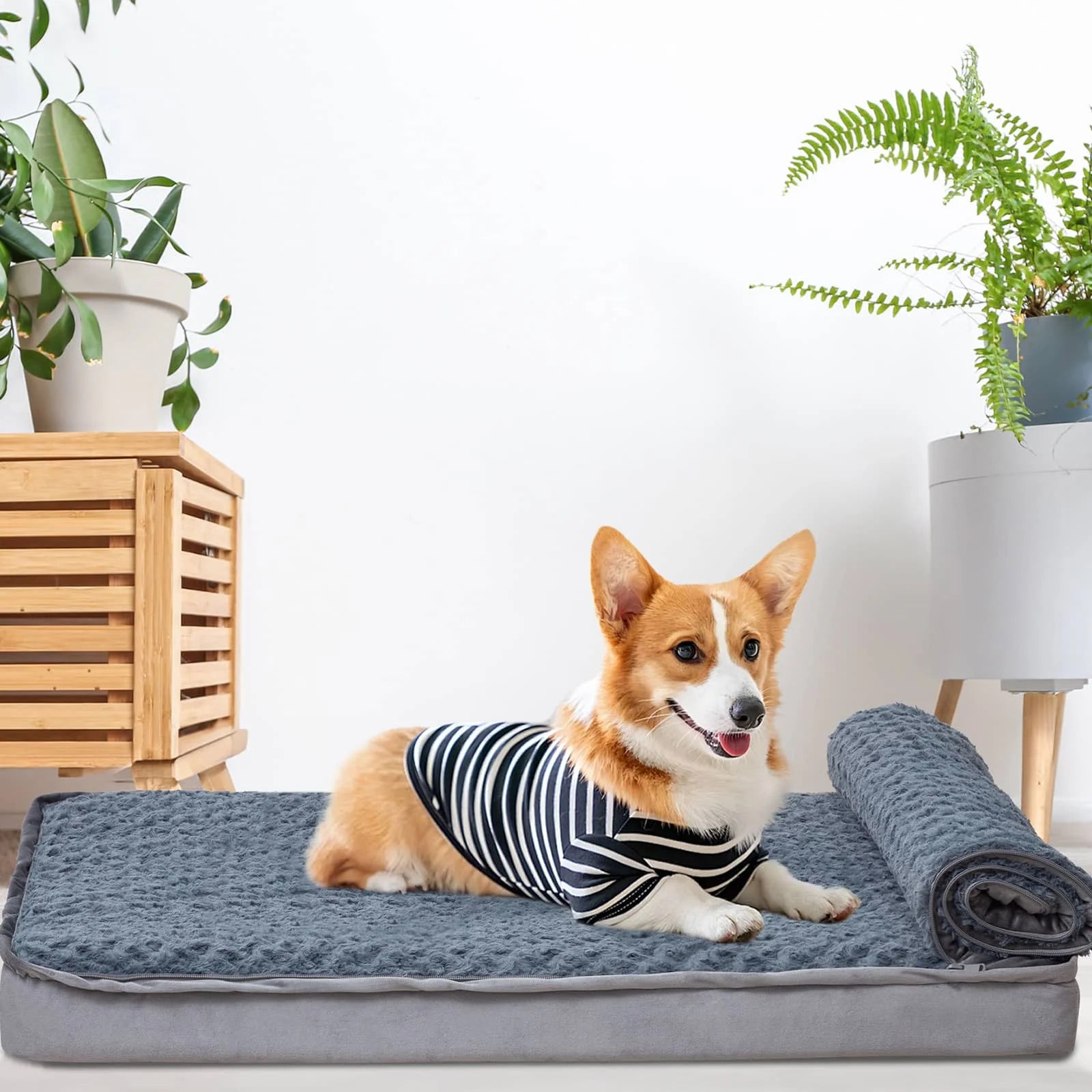 Puppy on Comax's Large Dog Bed with cozy fabrics.