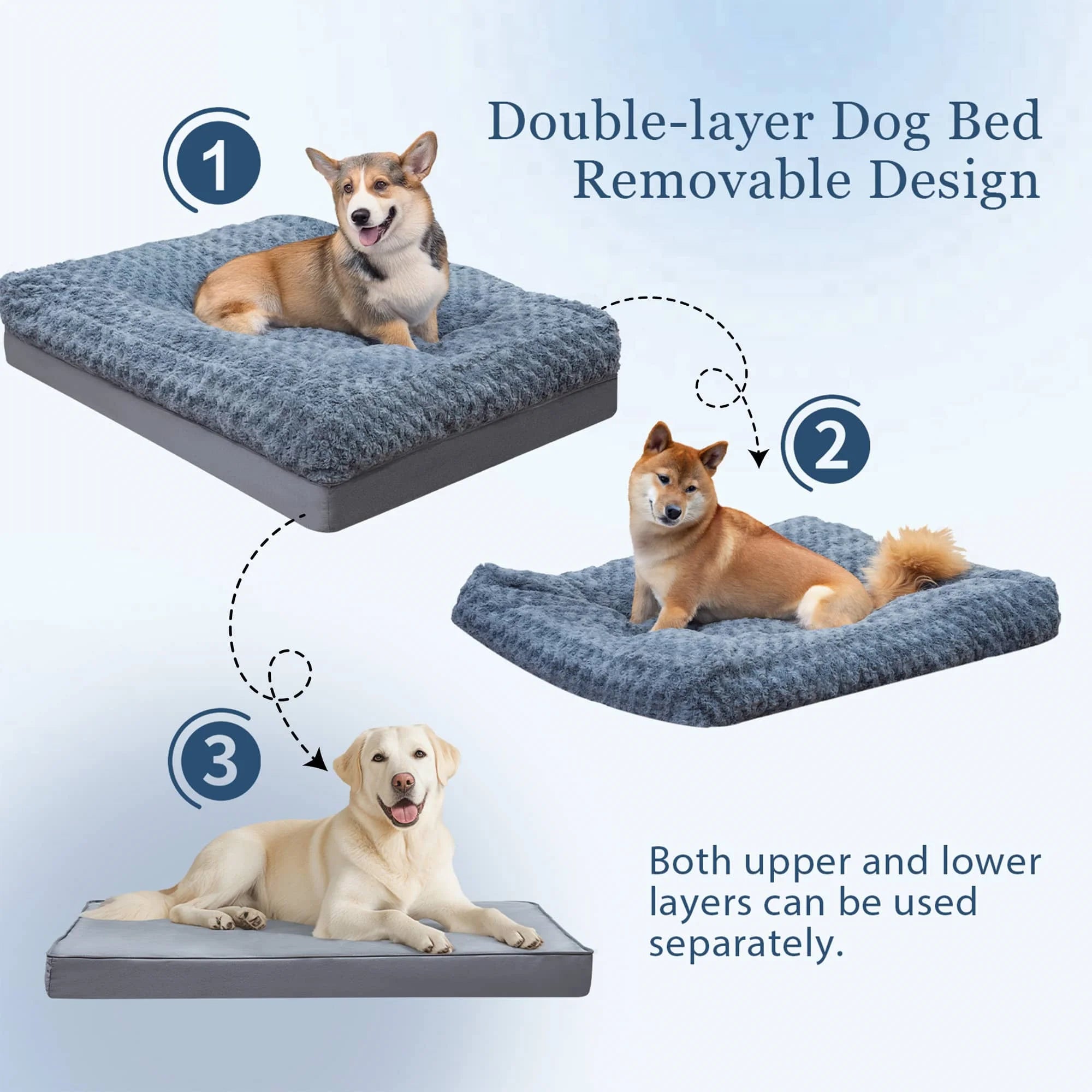 COMAX Dog Beds